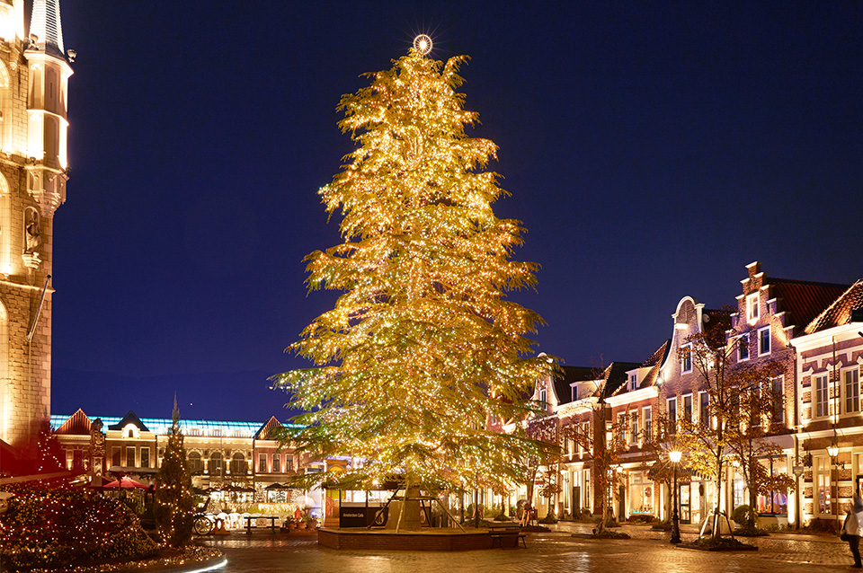 🎄12月の臨時特別予約診療のお知らせ🎄