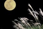 🌕9月の臨時特別予約診療のお知らせ🌕