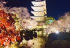 🎃10月の臨時特別予約診療のお知らせ🎃